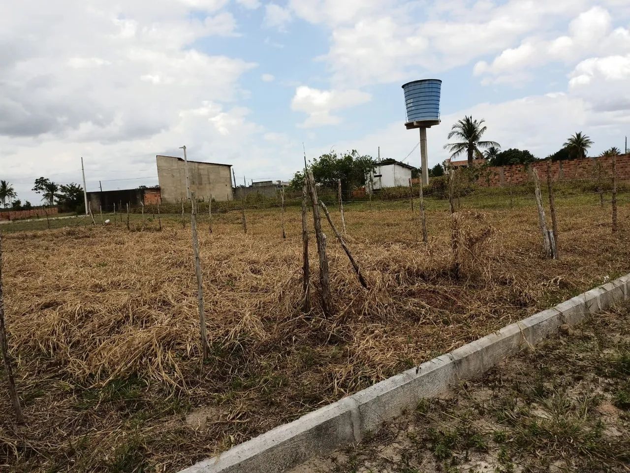 Oportunidade! Lotes de 10x30 no Povoado Tombo - Salgado/SE (Vendo Juntos ou Separados) - Foto 4