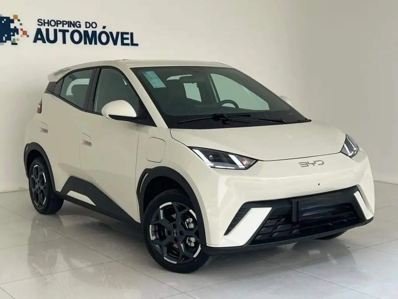 BYD Dolphin Mini (Elétrico) 2027