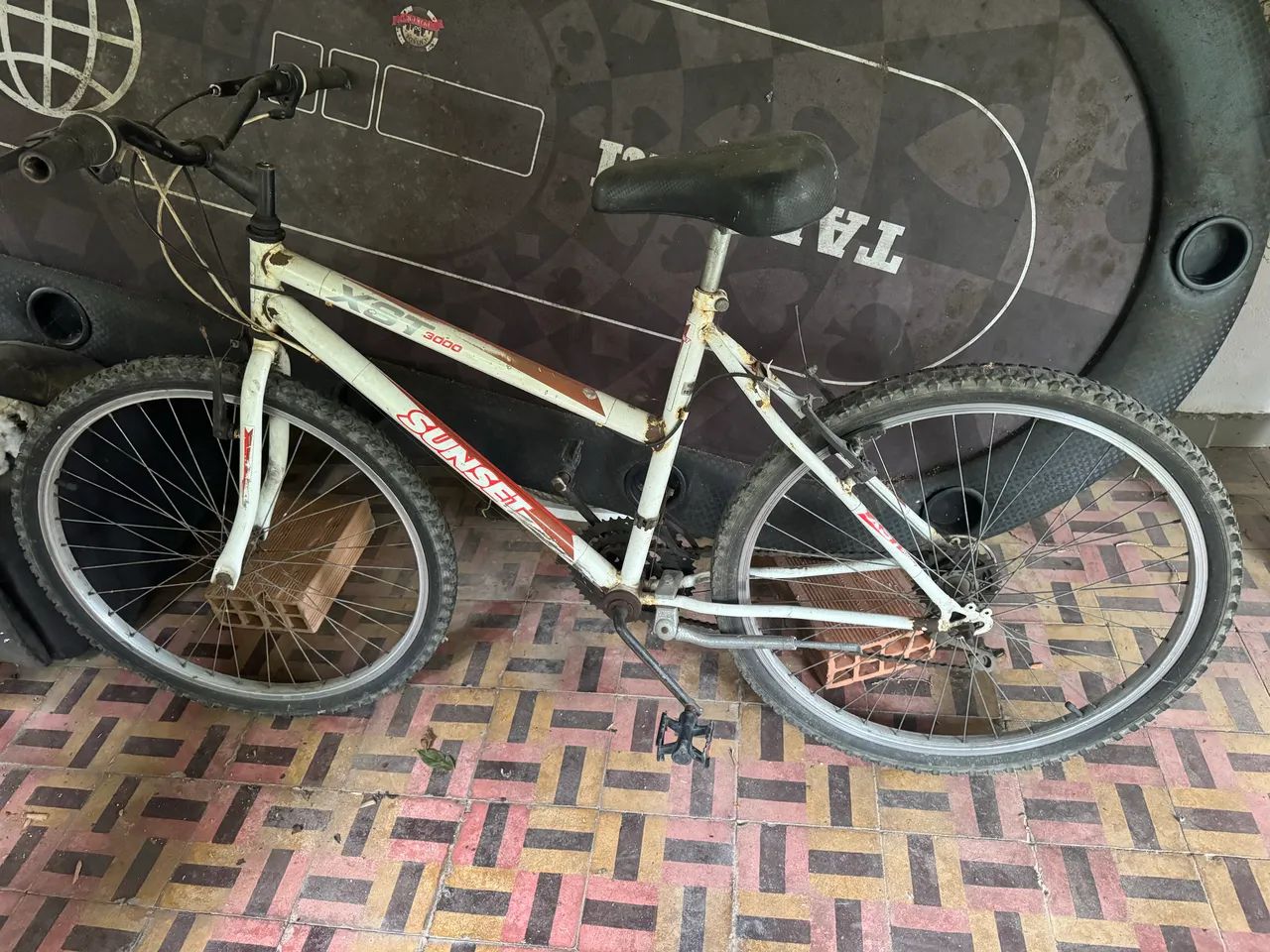 Bicicleta 