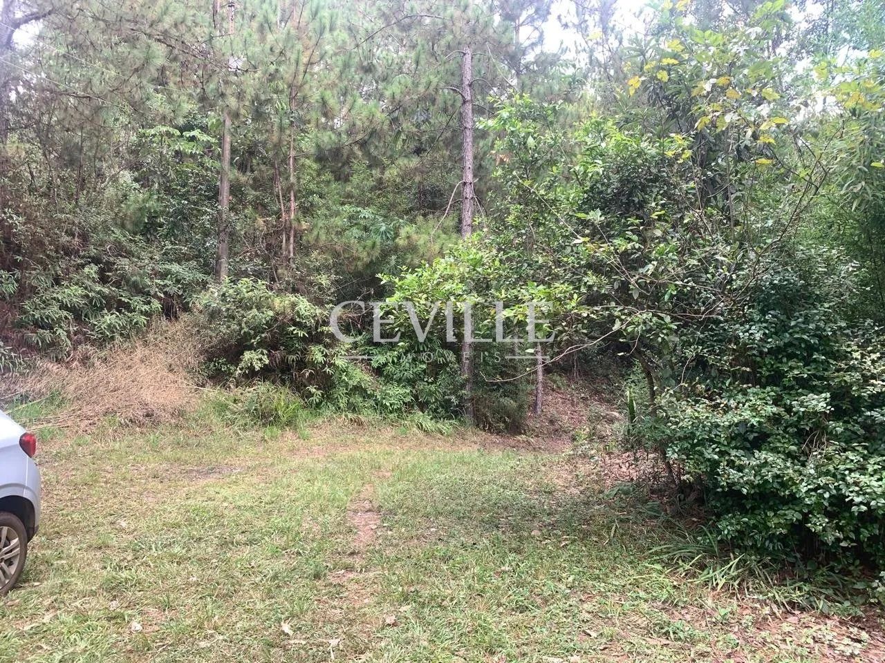 oportunidade de sitio a venda - Foto 11