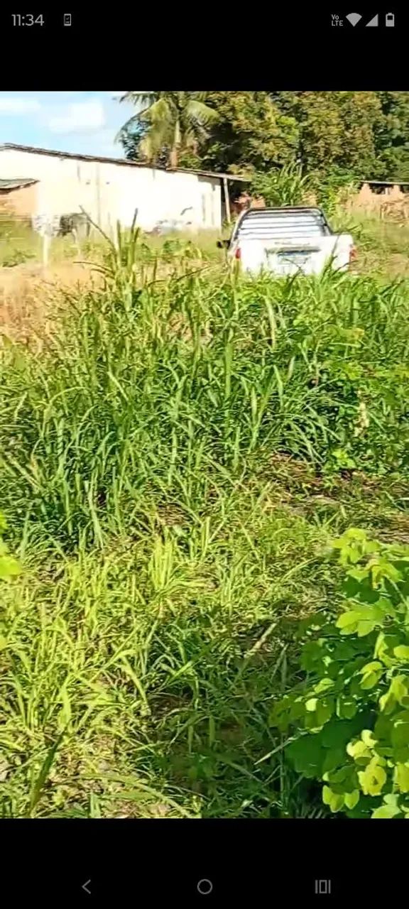 Terreno em areia branca  - Foto 5