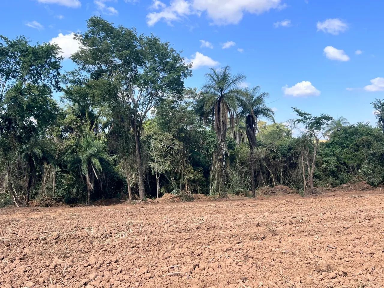 LOTE EM LAGOA SANTA  - Foto 3