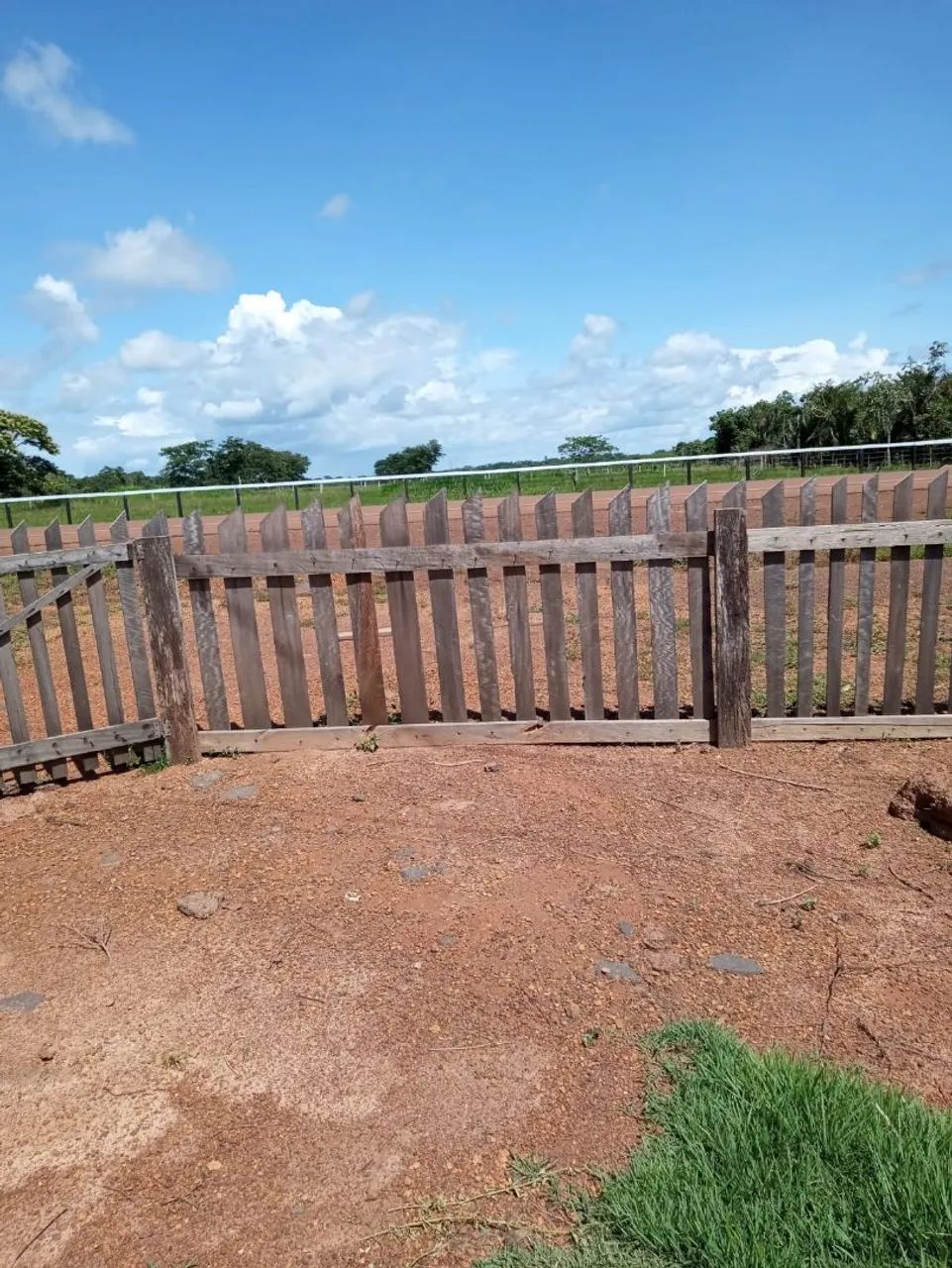 Vendo chácara bem localizada a 15 km de Alenquer  - Foto 2