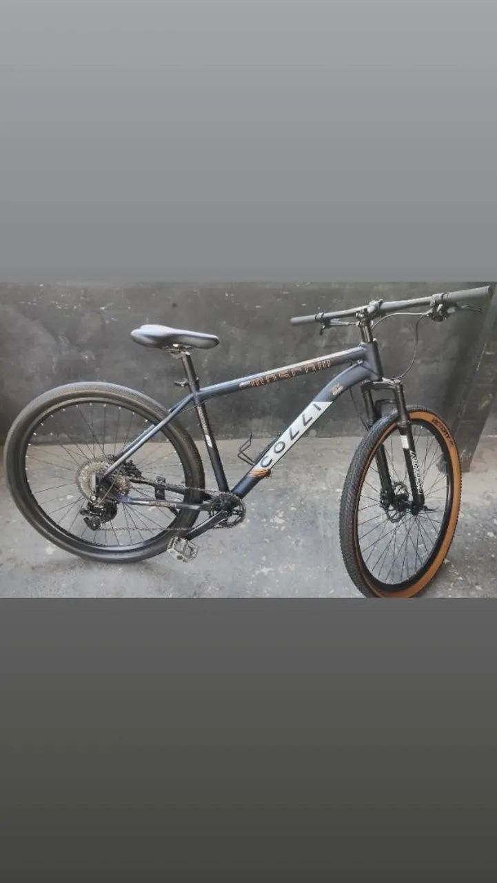 Bicicleta colli 29 