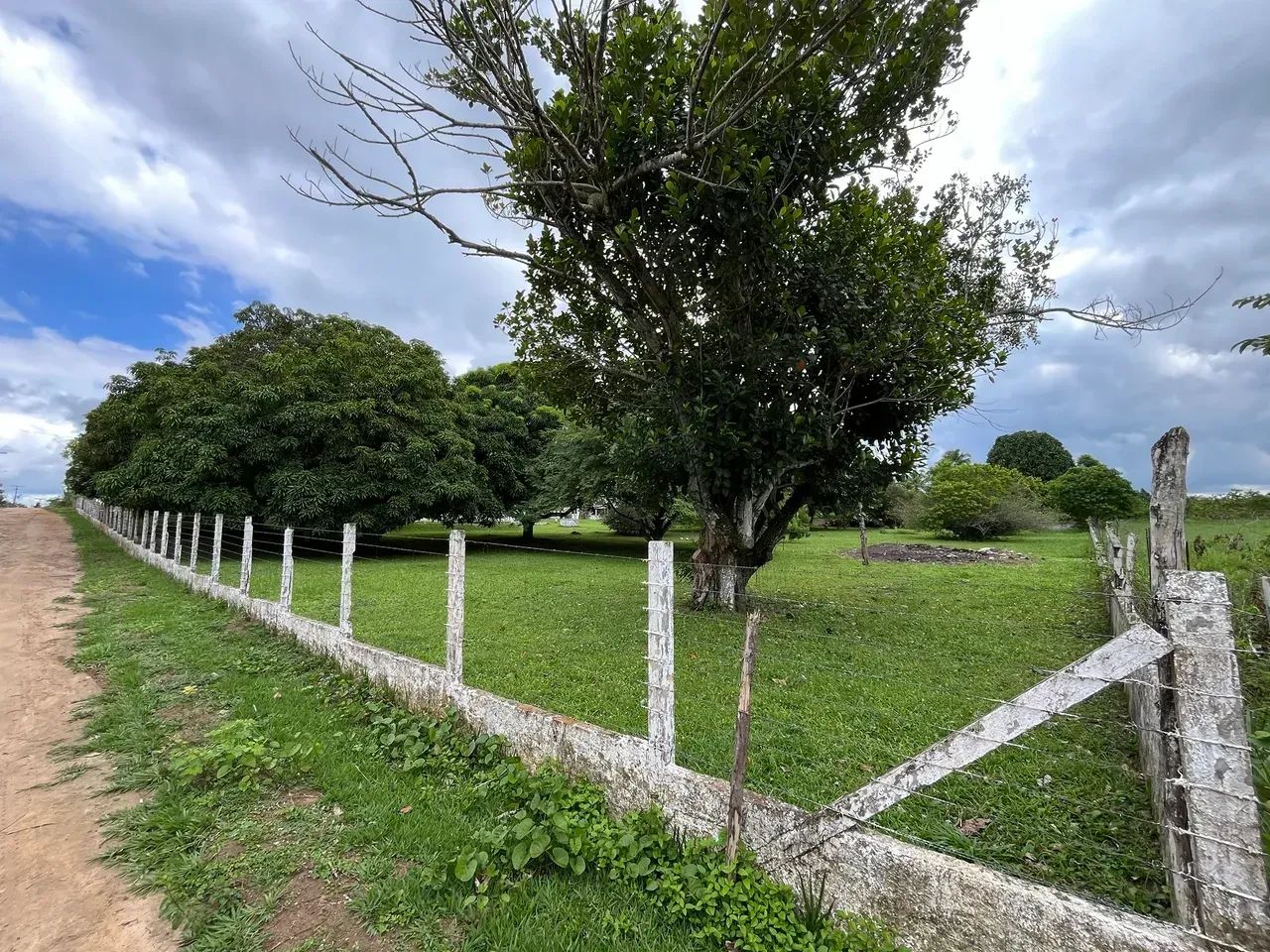 Excelente Sitio em Amélia Rodrigues - Foto 3