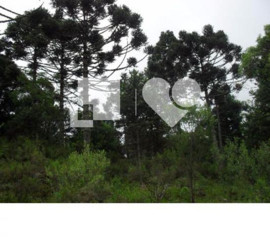 Terreno - Foto 5