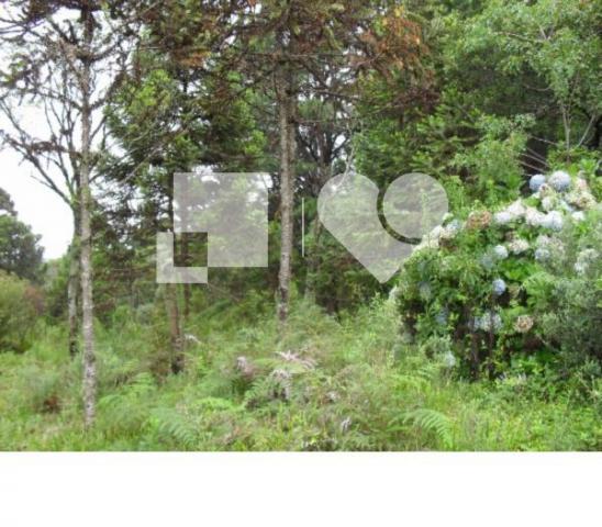 Terreno - Foto 6