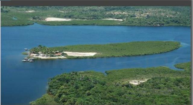 (298)Ilha Paradisiáca Particular Barra do Paraguaçu 60.000m² - Foto 6
