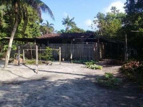Barbada!!! Vendemos com exclusividade um Sítio/Terreno com 10,6 hectares - Foto 19