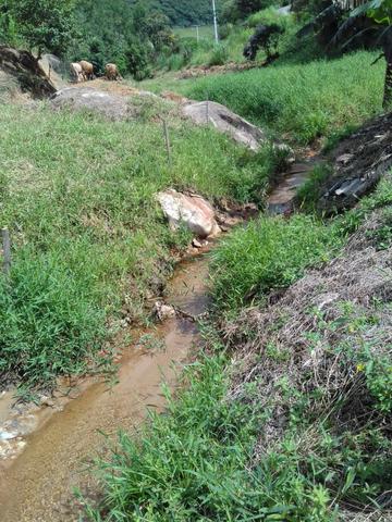 Lote em São Pedro de Alcântara - Foto 9