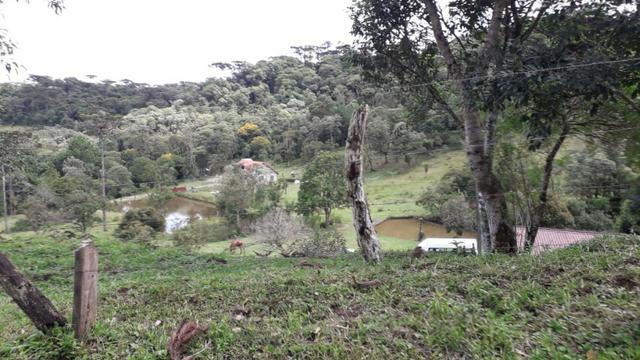 Perto de tudo - Foto 19