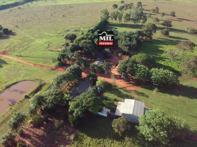 Fazenda dupla apitidão 200 Alqueires ( 968 hectares ) Itajá-GO