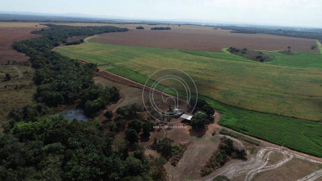 Fazenda à venda, 978 ha, região do manso