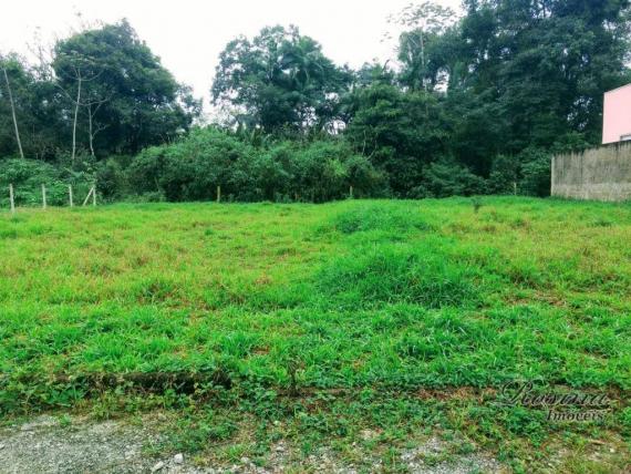 Òtimo terreno próximo ao centro - morretes/paraná - Foto 17