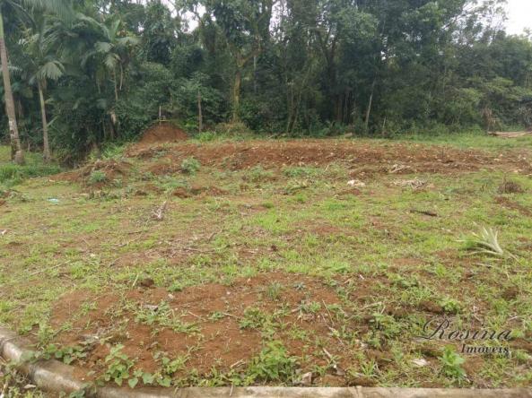 Òtimo terreno próximo ao centro - morretes/paraná - Foto 12