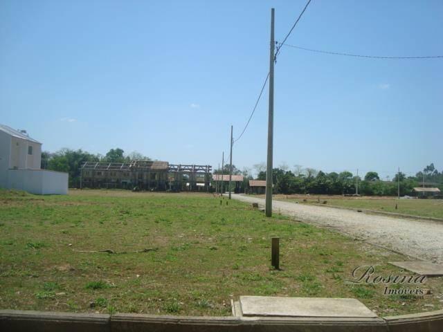 Terreno à venda, 399 m² por r$ 93.000,00 - nucleo do rio pinto - morretes/pr - Foto 8