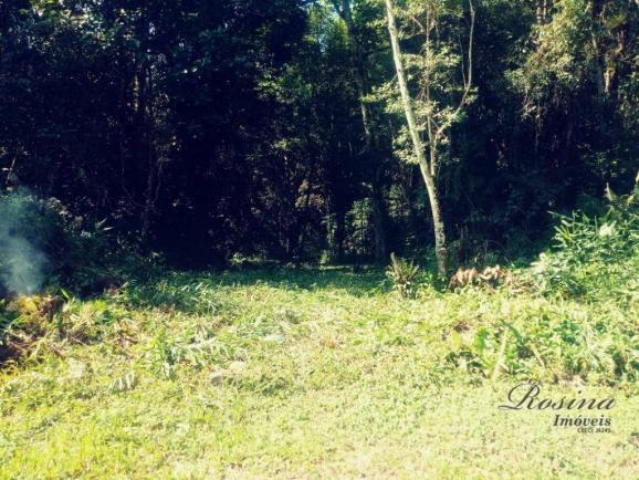 Terreno com 36.300 m² com registro de imóveis de frente para o asfalto - Foto 5