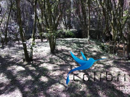 Chácara pronta para lazer ou moradia em agudos do sul - Foto 17