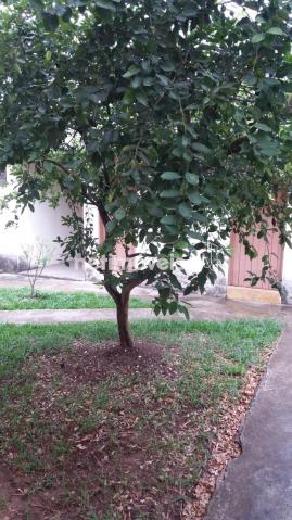 Casa à venda com 3 dormitórios em Glória, Belo horizonte cod:769221