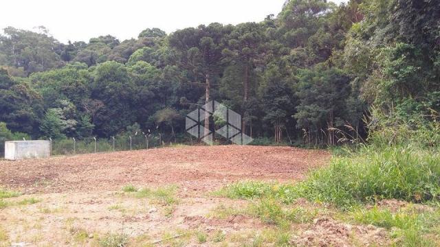 Terreno à venda em Centro, Garibaldi cod:9908614 - Foto 5