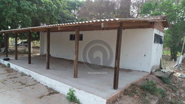 Chácara 13 km de cuiabá beira do rio coxipó - Foto 2
