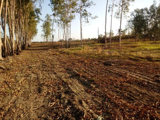 Vendo uma área de 6 hectares distrito, apos o hotel pantanal