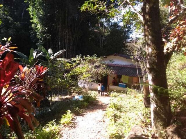 Tapera - Chácara com 1000 m² com uma casa com quarto - Foto 12