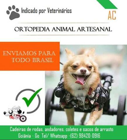 Cadeiras de rodas para cães e gatos e acessórios