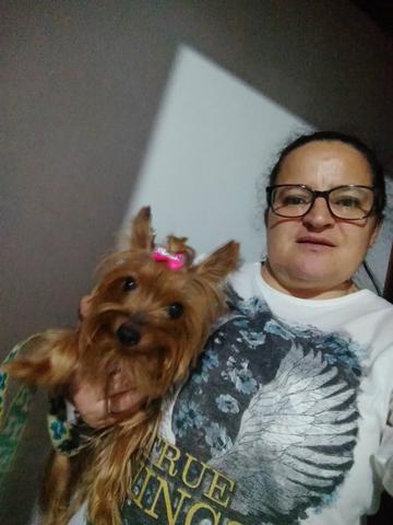 Arrumar um namorado pra Jholly - Foto 2