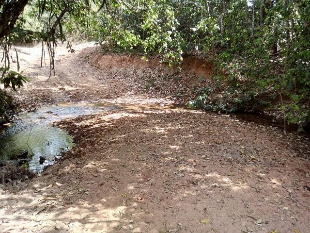 Venda de Fazenda, 650 hectares, Guiratinga - MT - Foto 11