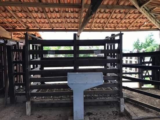 Fazenda de 791 tarefas, com sede nova e curral de ripão coberto com embarcador e balança - Foto 18
