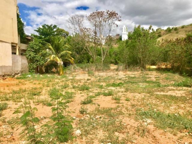 Lotes no Bairro Marista - Colatina - ES - Foto 3