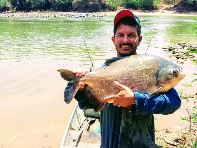 Chácara em Barro Alto Goiás - Foto 5