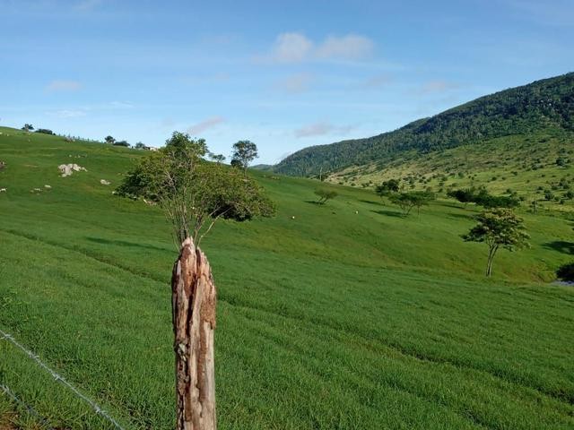 Fazenda em Anguera 35km de Feira de Santana obs: aceito caminhão, carro parte do pagamento