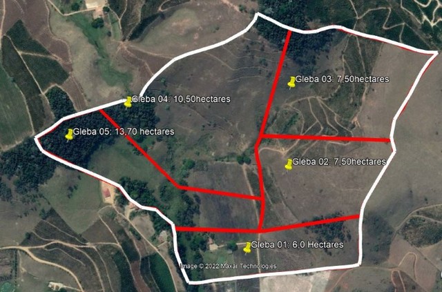 Terreno rural com lavoura de café 7.5 hectare  ( Gleba 3 ) - Foto 2