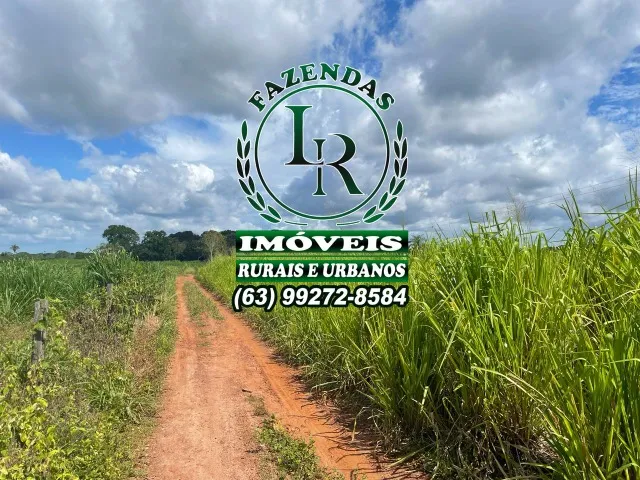Chácara 1.5 alqueires Próximo a Araguaina Tocantins