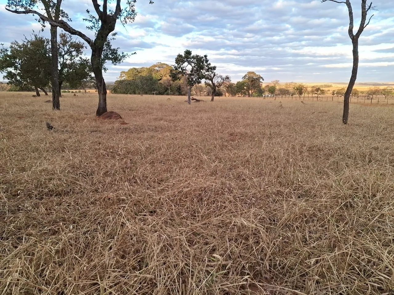 Chácara 2,5 km de Bela Vista de Goiás.  - Foto 9