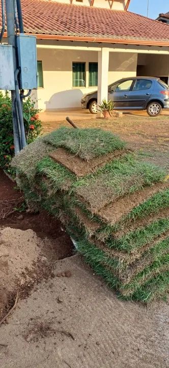 Jardinagem em geral  - Foto 4