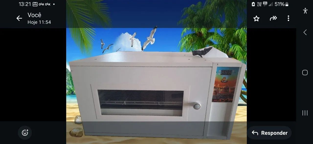 Chocadeira automatica 240 ovos, com 02 grades
