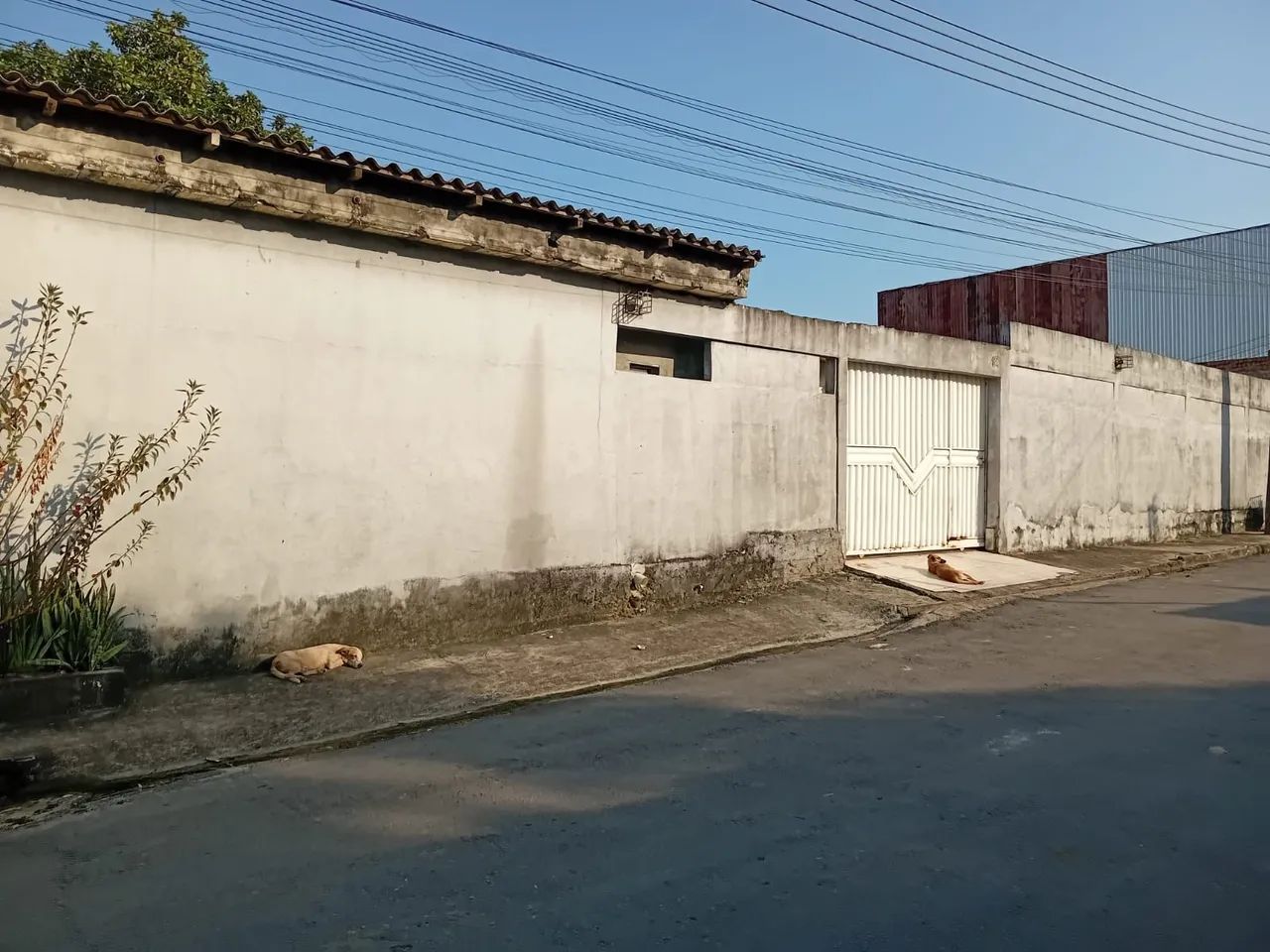 Foto - Manaus - Colônia Terra Nova