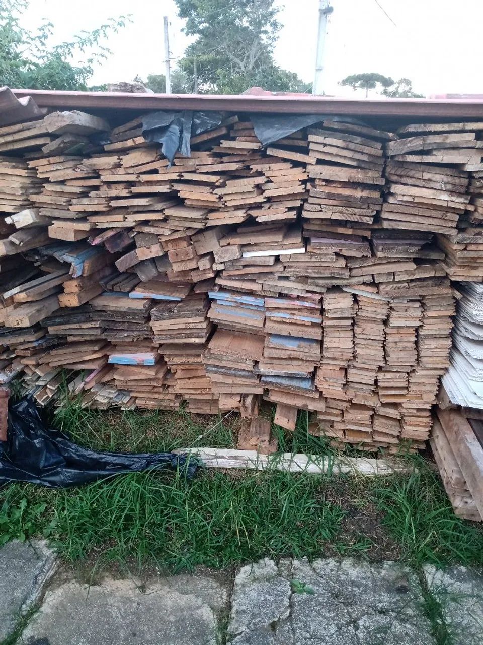 Madeiras para construção