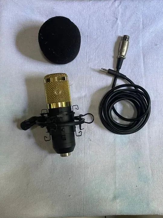 BM800 Microphone