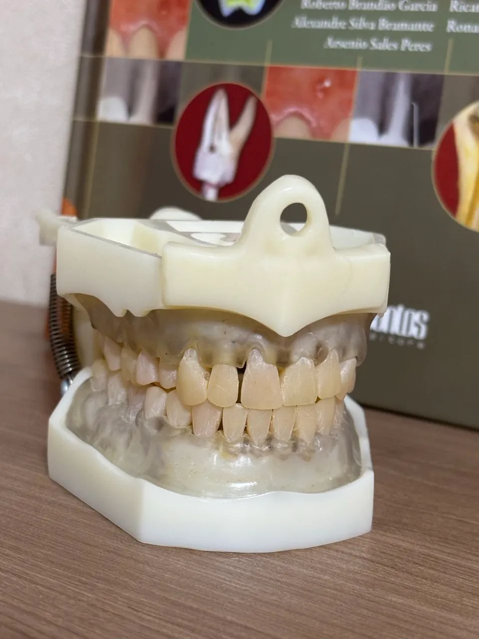 Manequim Odontológico  - Foto 3
