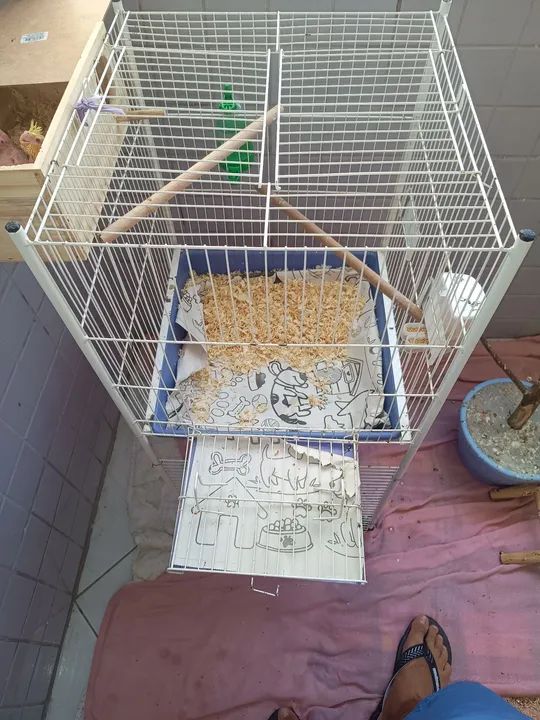 Gaiola para calopsita 