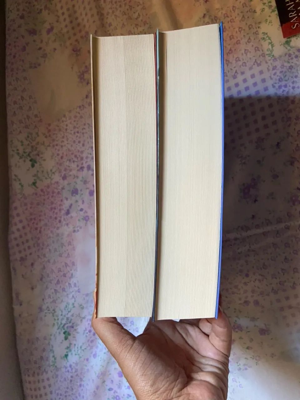 Cidade da Lua Crescente e Casa de Céu e Sopro - Sarah J. Maas  - Foto 3