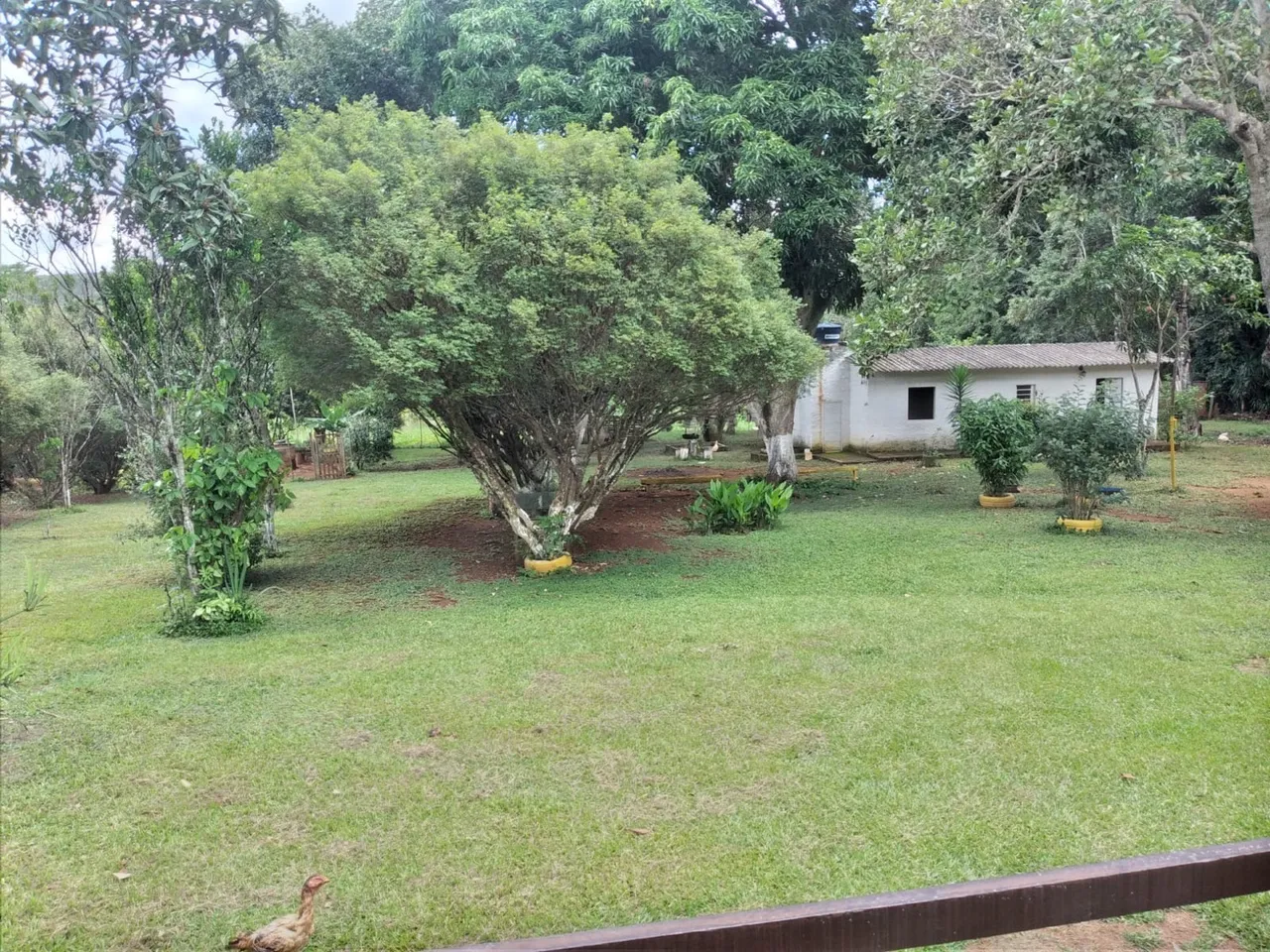 Chácara à Venda - Vale da Canção, Luziânia/GO