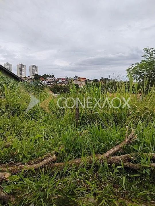 terreno - Parque dos Pomares - Campinas - Foto 2