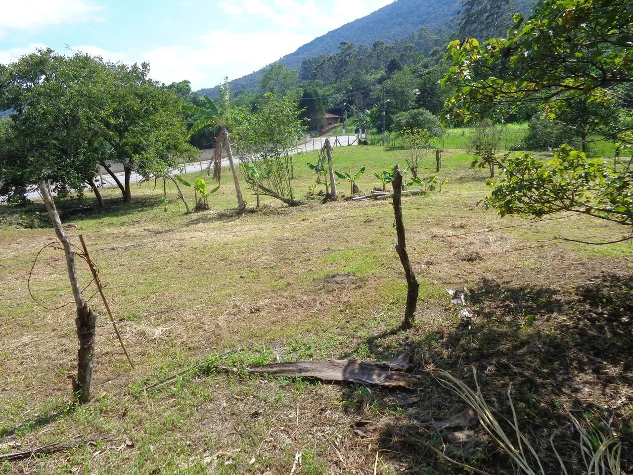 Imóvel para venda com 109000 metros quadrados em Ratones - Florianópolis - SC