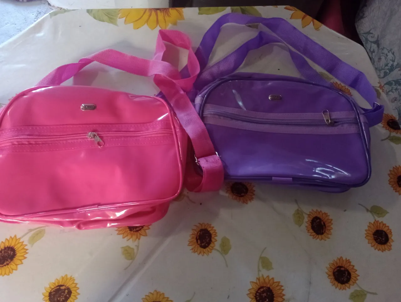 Por motivo de mudança vendo todas essas bolsas