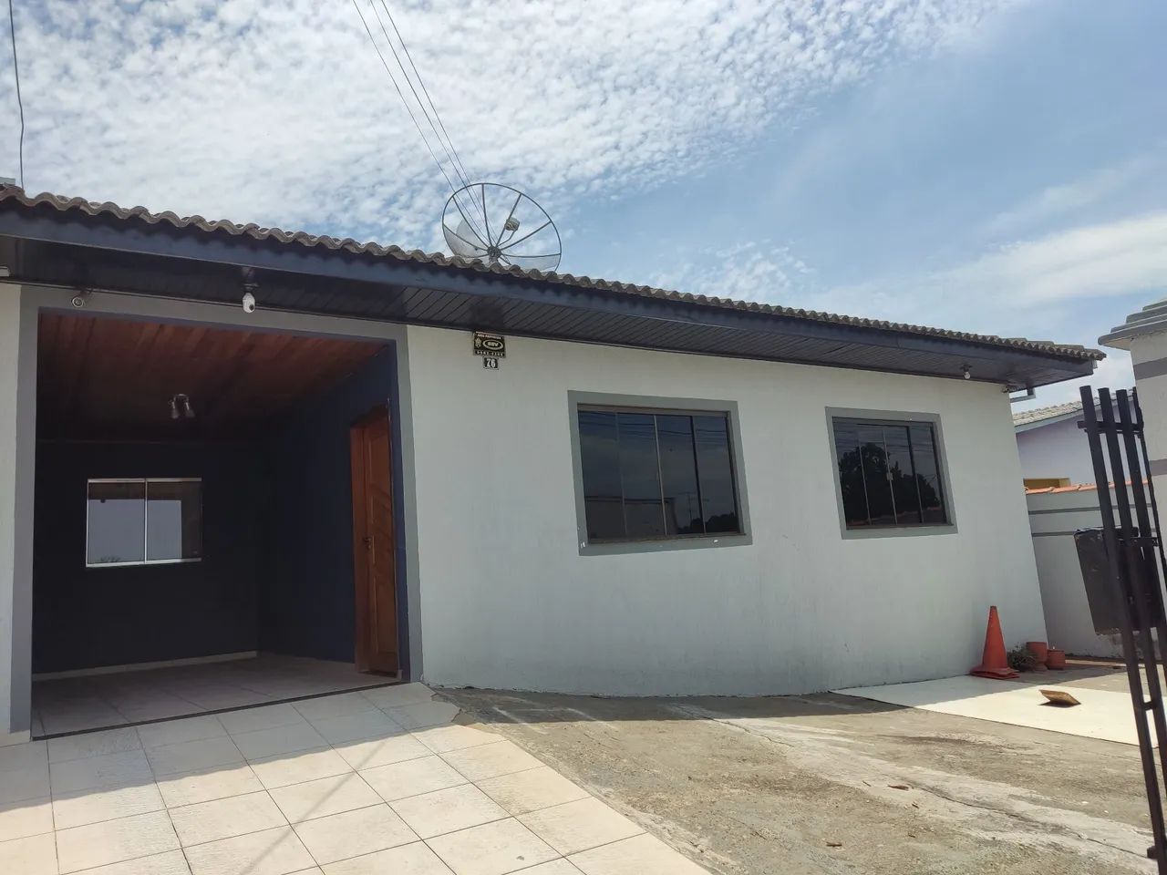 Foto - Ponta Grossa - Cará-cará